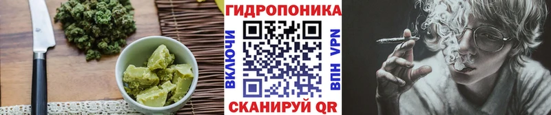 закладка  Купино  Canna-Cookies конопля 
