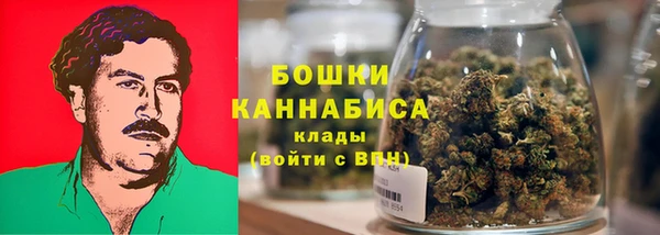 ПСИЛОЦИБИНОВЫЕ ГРИБЫ Переславль-Залесский